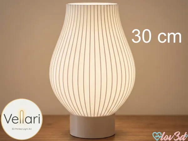 https://makerworld.bblmw.com/makerworld/model/US656d1118ae8950/design/a9cd09dcc781d523.png