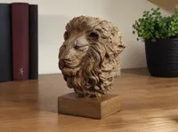 20 cm model