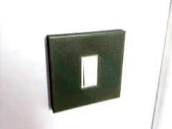 single switch cover