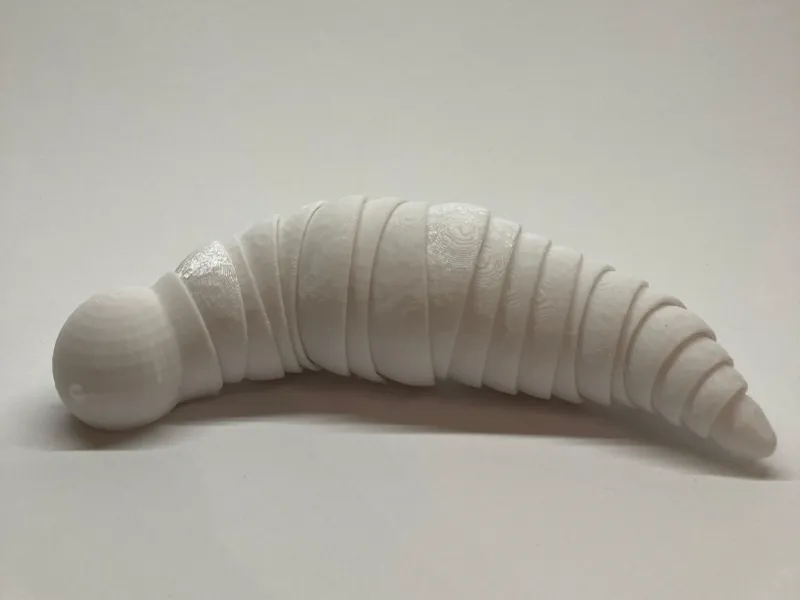 Articulated bookworm