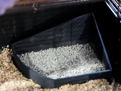 sand bathtub for rodents