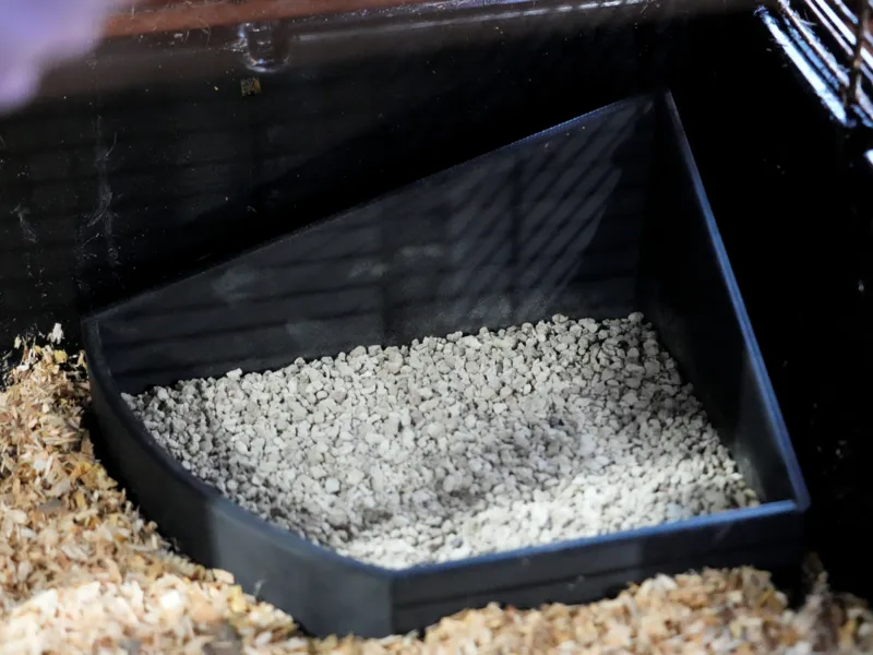 sand bathtub for rodents
