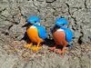 Kingfisher - Loose Parts - No AMS - P1S
