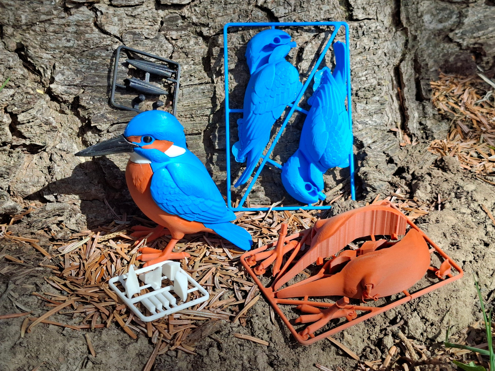 Realistic life-size Kingfisher Kit Card