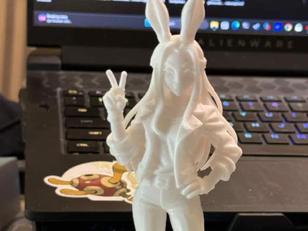 https://makerworld.bblmw.com/makerworld/model/US65783e689c3bd2/design/2025-07-12_724696feb64af.jpg