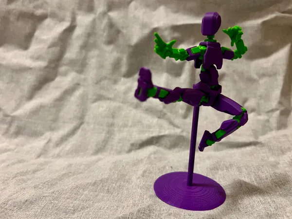 https://makerworld.bblmw.com/makerworld/model/US657e99b3718d8c/design/2025-02-14_fba0db13ebf04.jpeg