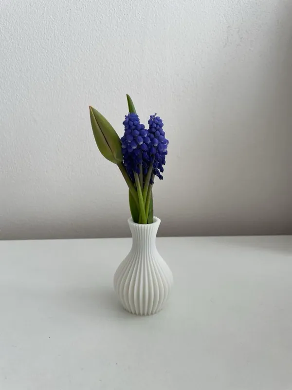 https://makerworld.bblmw.com/makerworld/model/US657f699a357b44/design/2024-04-29_4c0f7993d74f6.jpg