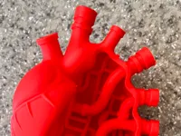 Cœur mécanique — sculpture en réseau de tuyaux — photo 2