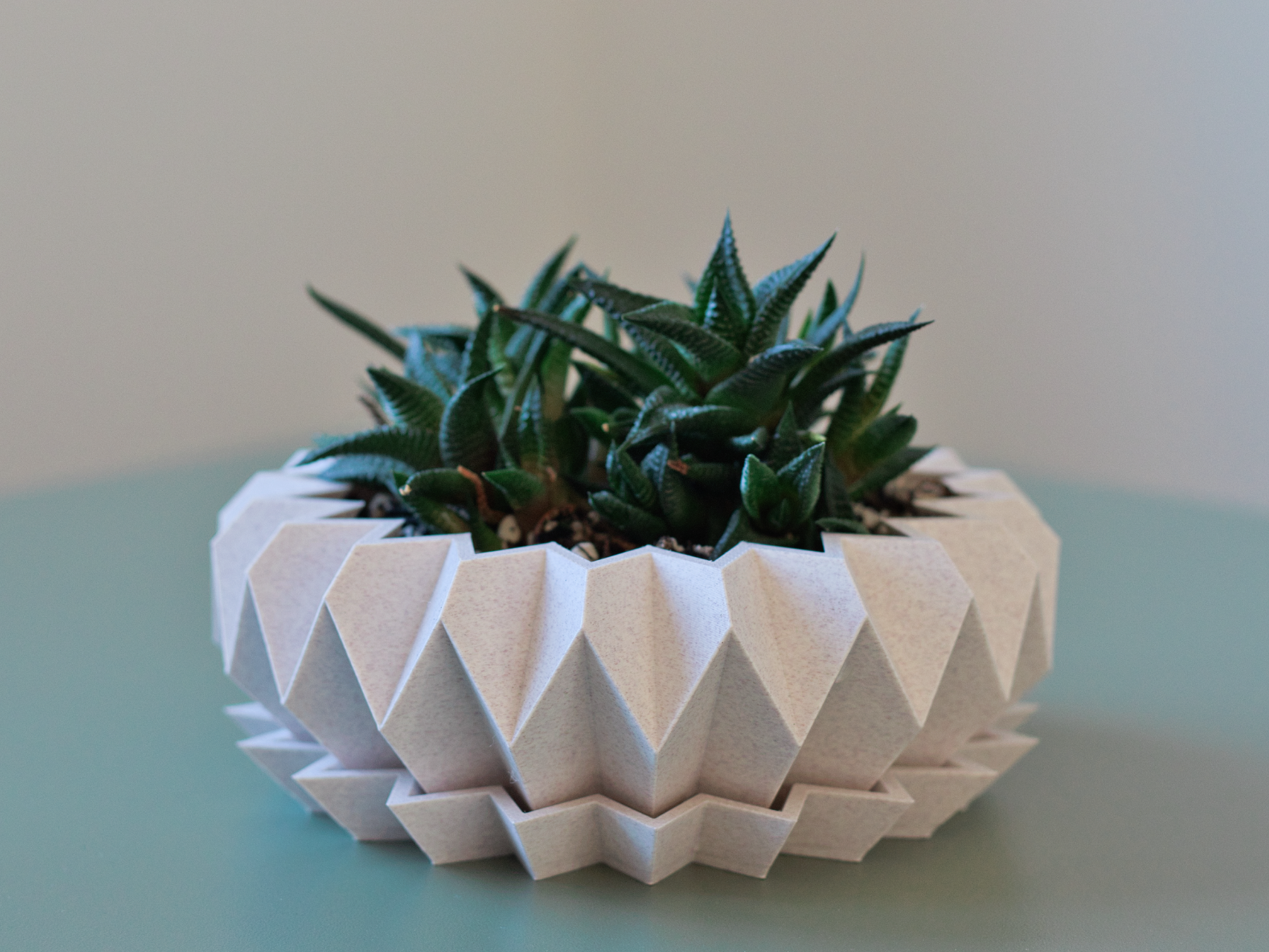 Origami Bloom – Geometric Succulent Planter & Tray