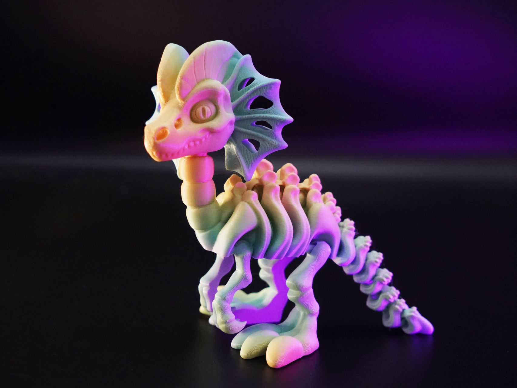 Articulated Skeletal Dilophosaurus - 1