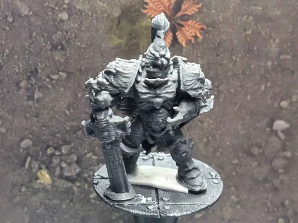 https://makerworld.bblmw.com/makerworld/model/US6587f429e514f9/design/2025-11-11_9b000d09baad18.jpg
