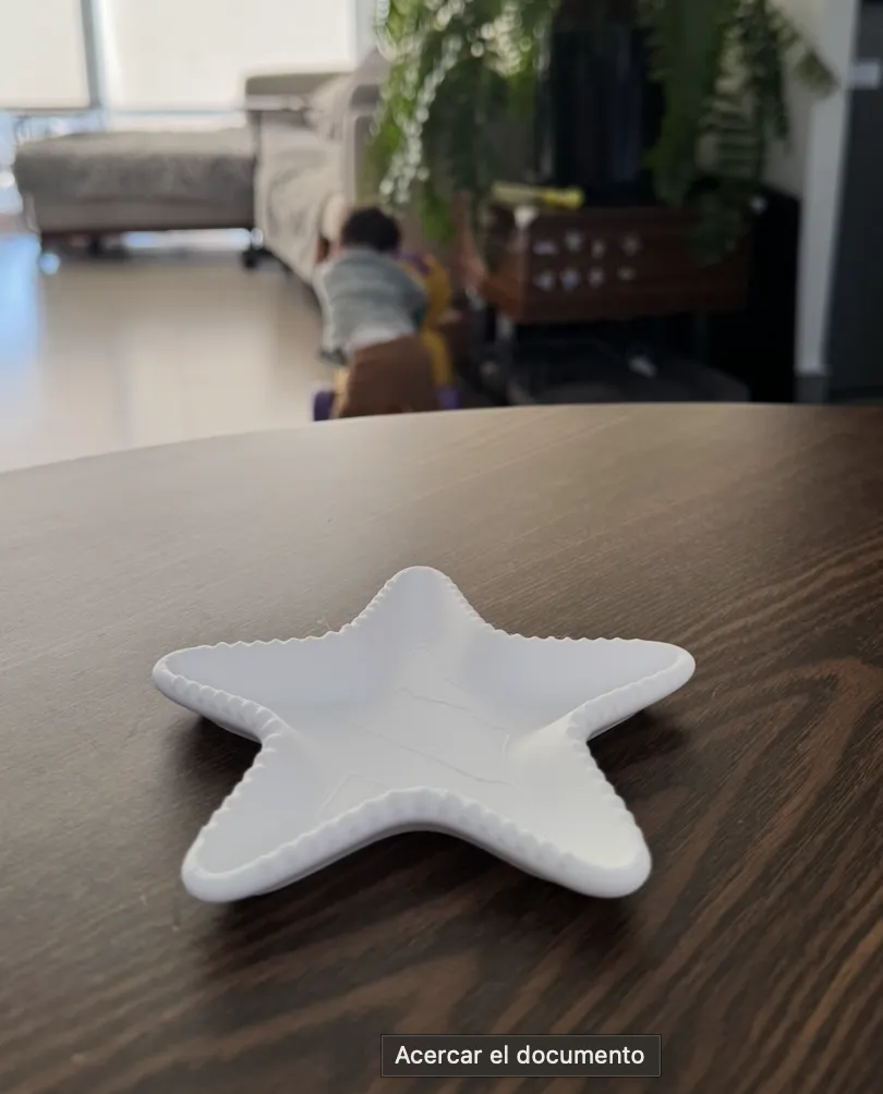 Sea Star Holder for rings and earrings view 2