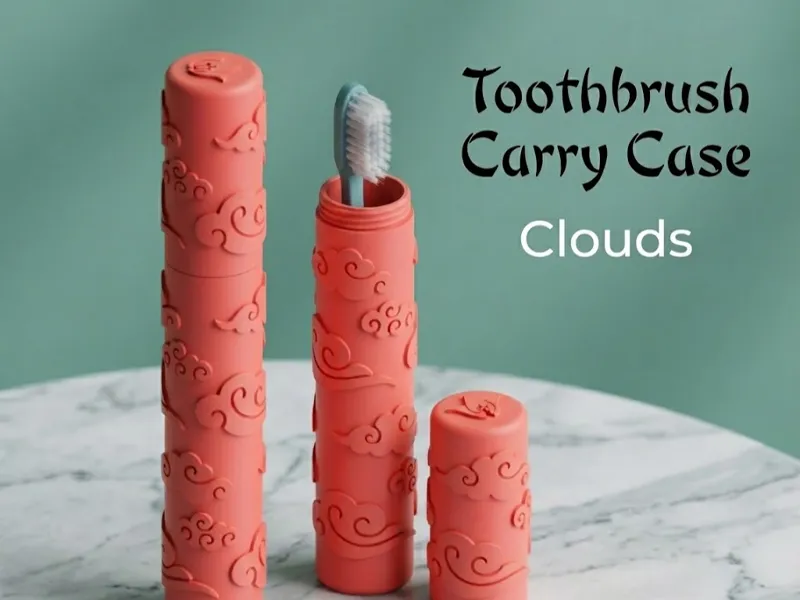 Toothbrush Carry Case