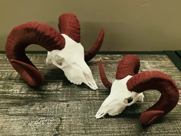 https://makerworld.bblmw.com/makerworld/model/US658d4255391802/design/2025-05-28_8e2bb61cd33e28.jpeg