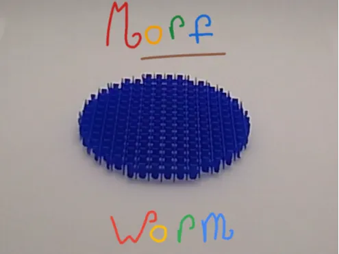 Morf Worm Fidget