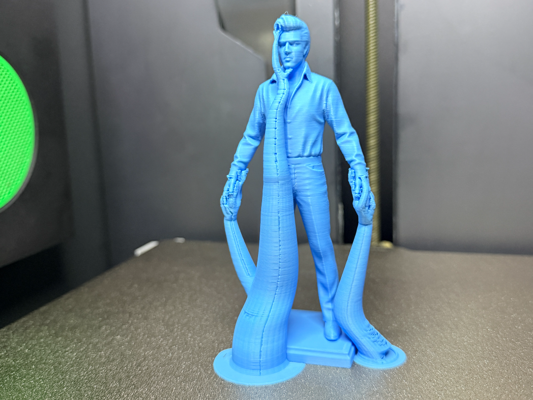 Elvis The King