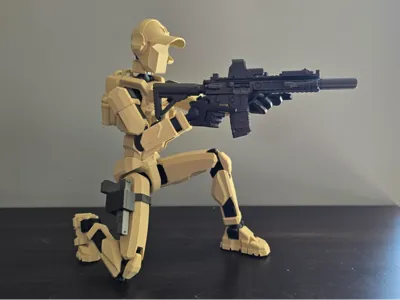 Dummy 13 AR-15 Rifle