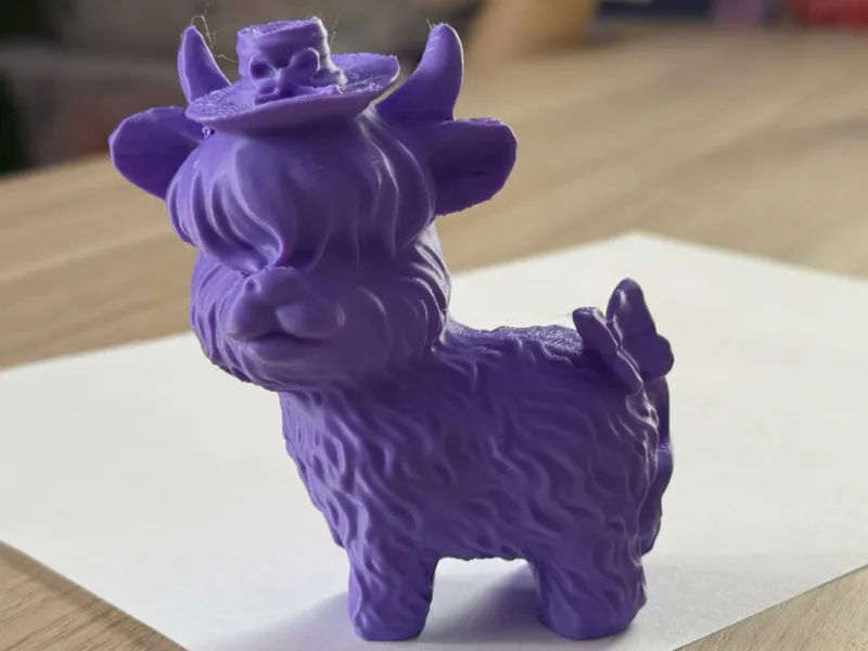 Highland Cow