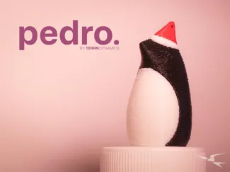 Pedro the Penguin by TERRN.DYNAMICS 