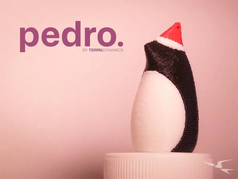 Pedro the Penguin by TERRN.DYNAMICS 