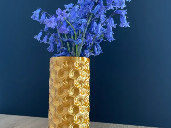 https://makerworld.bblmw.com/makerworld/model/US65a95dc7005c62/design/2024-05-14_911090a645571.jpeg
