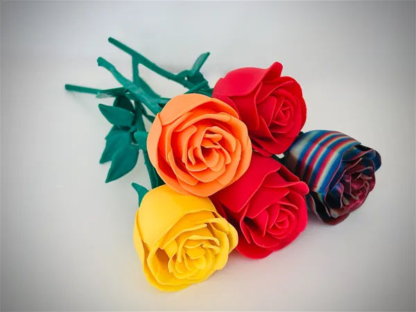 https://makerworld.bblmw.com/makerworld/model/US65aef46104a477/design/2025-01-13_3a948e5b0f9b2.jpg