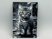 0.08mm layer, 2 walls, 100% infill. 100x150mm