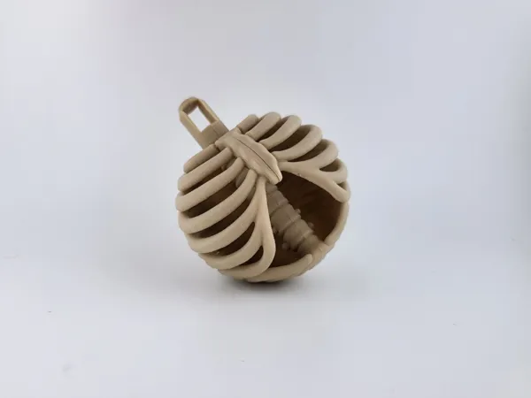 https://makerworld.bblmw.com/makerworld/model/US65b2b63d7ae916/design/2025-11-07_24348a64f38c08.jpg
