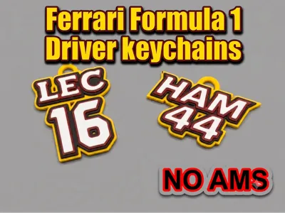Ferrari Formula 1 Driver Keyrings - NO AMS
