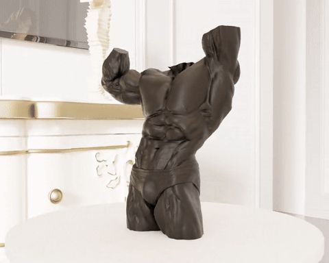 https://makerworld.bblmw.com/makerworld/model/US65b503d5e14aa/design/2025-10-01_9f516b3f5839f.gif