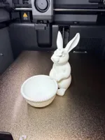 large bunny