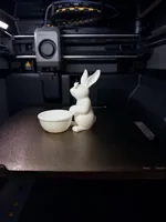 small bunny