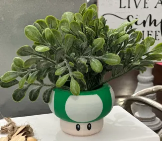 Mario Inspired Toad Mushroom Succulent