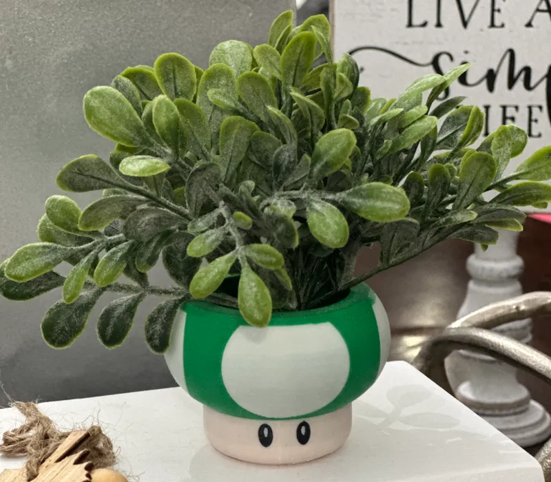 Mario Inspired Toad Mushroom Succulent
