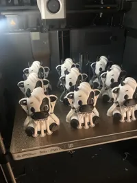 Multicolor, Less waiste, 0.22mm layer, 2 walls, 5% infill