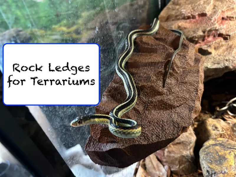 Small Magnetic Rock Ledge for Terrariums