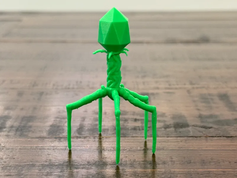 Bacteriophage: The Deadliest Being in the Universe