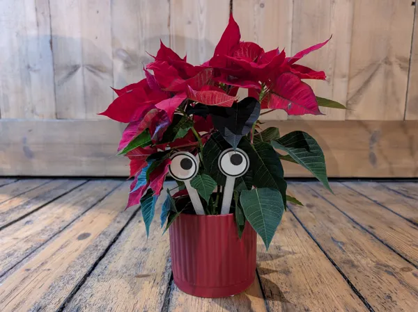 https://makerworld.bblmw.com/makerworld/model/US65ccf7daf26240/design/2024-12-16_ab1b8ef109a12.jpg