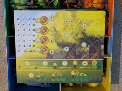 Photosynthesis Box Organiser Insert