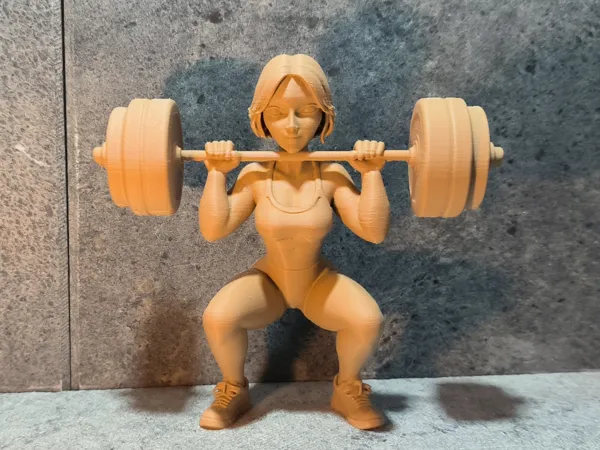 https://makerworld.bblmw.com/makerworld/model/US65d5ba6052b0cc/design/5d96bfbfa8f08fb6.jpg