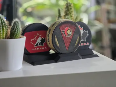 Hockey Puck Display Stand