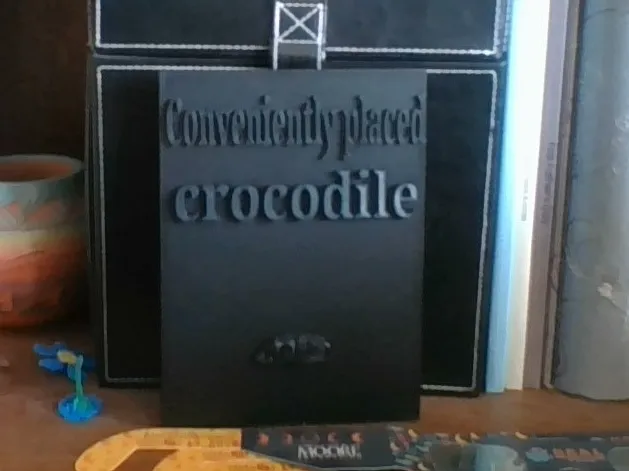 Conveniently Placed Crocodile Sign