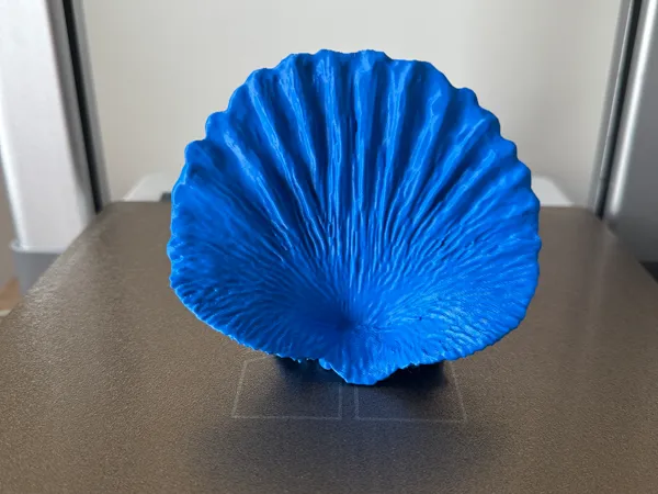 https://makerworld.bblmw.com/makerworld/model/US65e54627109c1c/design/2025-04-14_33ec6190e386a.jpeg