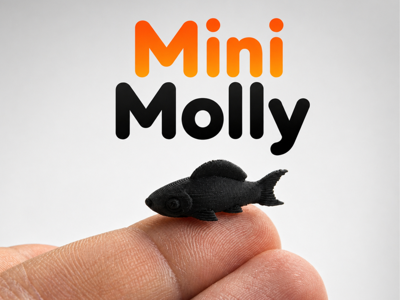 Mini MolIy Fish