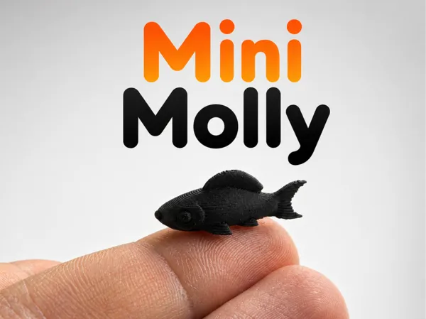 https://makerworld.bblmw.com/makerworld/model/US65e54c273637e9/design/e976e3540203dcd5.png