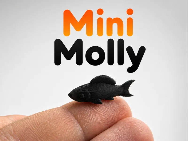 Mini MolIy Fish