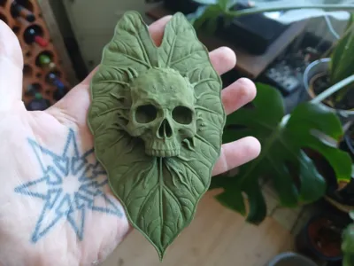 Alocasia skull