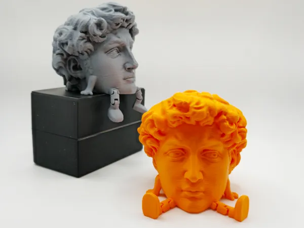 https://makerworld.bblmw.com/makerworld/model/US65f19542d48654/design/2024-12-23_39300a59168e2.jpg