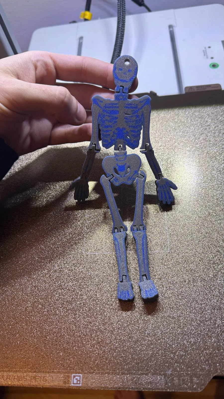Flexi Skeleton Keychain – MakerWorld Flexi Tool! by Ritz.Prints.3D ...