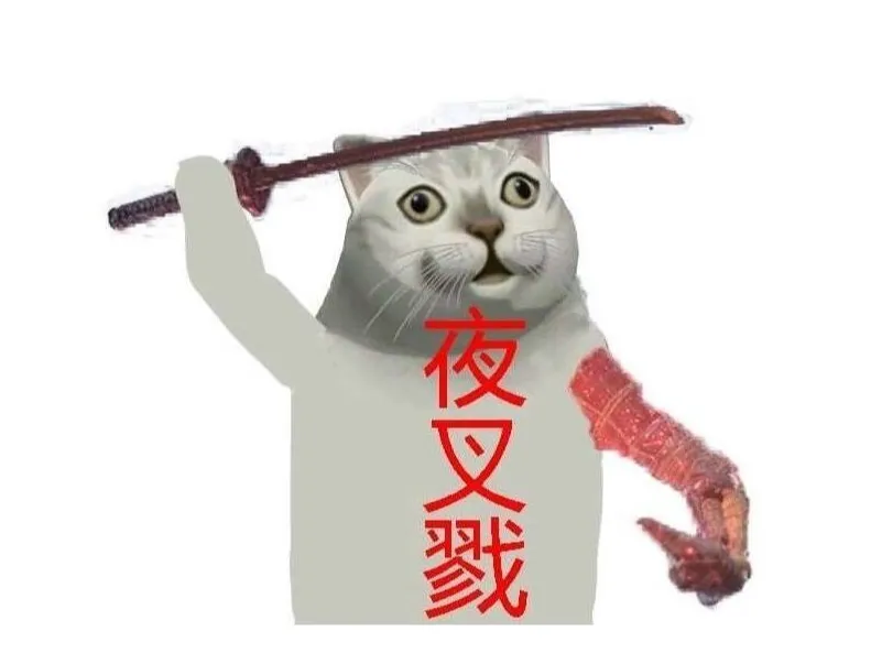 只狼 只猫 夜叉戮 sekiro